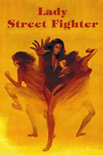 Lady Street Fighter (1977) poster