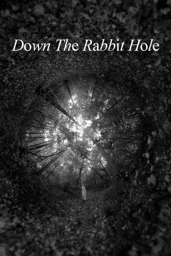 Down The Rabbit Hole () poster