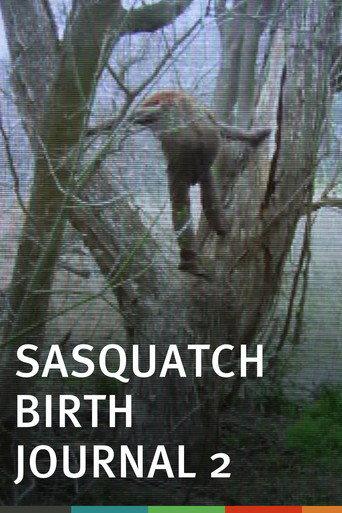 Sasquatch Birth Journal 2 (2010) poster