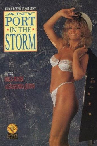 Any Port in the Storm (1991) poster