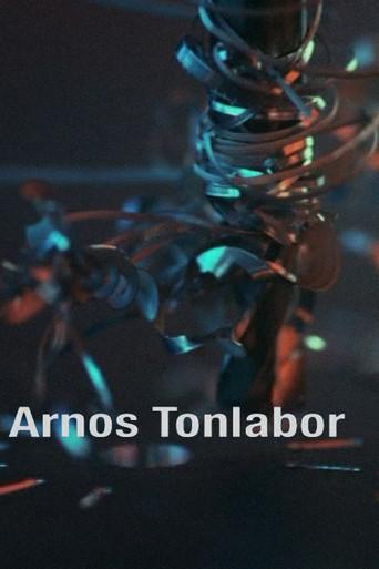 Arnos Tonlabor (2010) poster