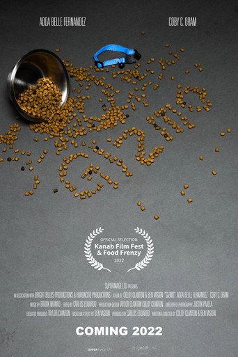 Gizmo () poster