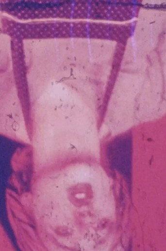 Mis en pièces (1978) poster