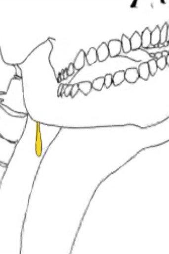Child (2005) poster