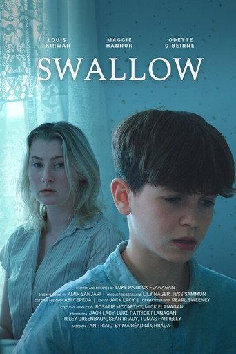 Swallow () poster