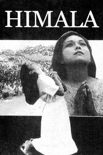 Miracle (1982) poster