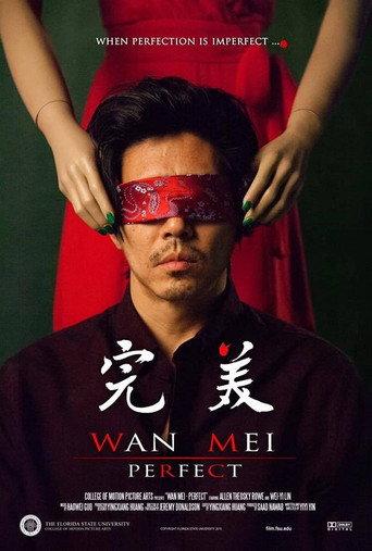 Perfect (2015) poster