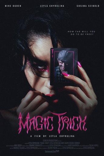 The Magic Trick () poster