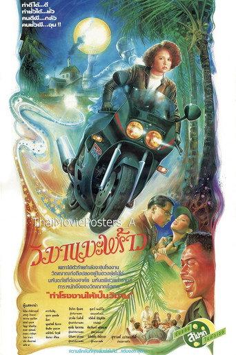 วิมานมะพร้าว (1991) poster
