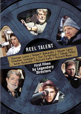 Perfect Alibi (1988) poster