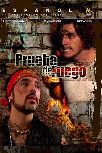 Las Ladrilleras (2006) poster