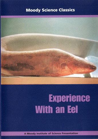 Experience With an Eel () poster