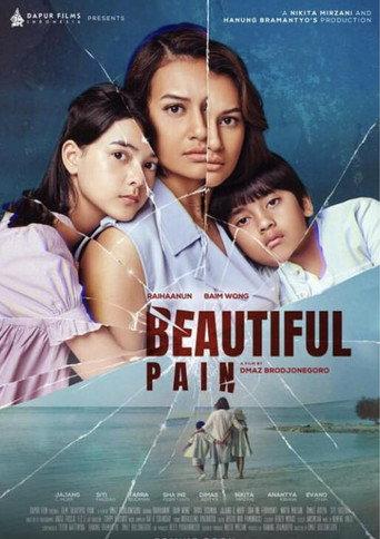 Beautiful Pain () poster