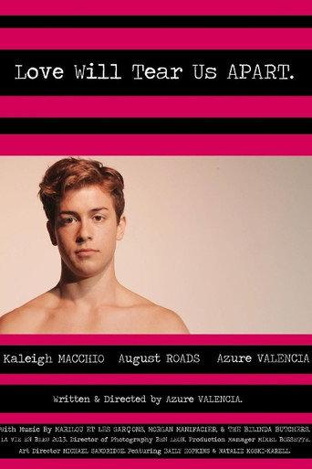 Love Will Tear Us Apart (2013) poster