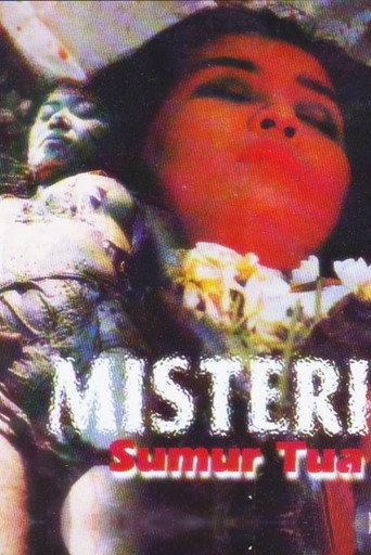 Mystery of the Old Well (1987) poster