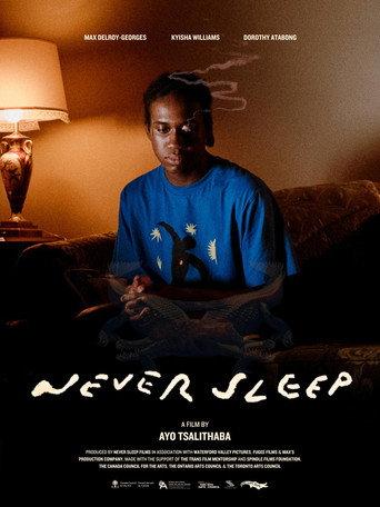 Never Sleep () poster