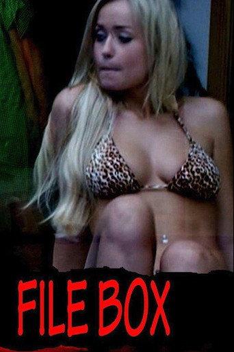 File Box (2013) poster