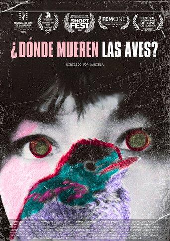 Where Do Birds Die? (2024) poster