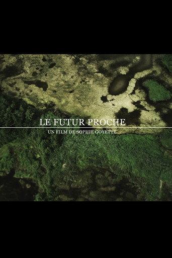 The Near Future (2012) poster