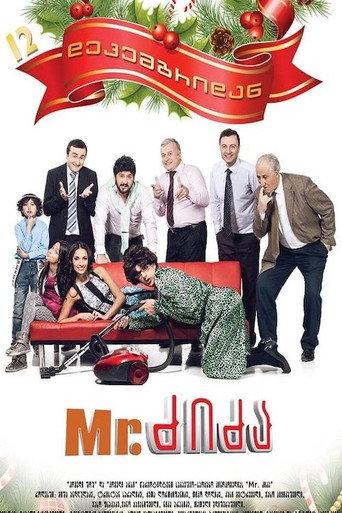 Mr. Nanny (2013) poster