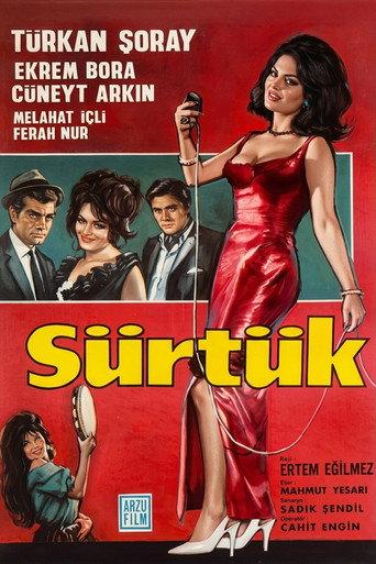 Bitch (1965) poster