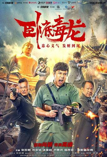 Operation Undercover 2: Poisonous Dragon (2019) poster