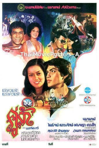 คู่รัก () poster