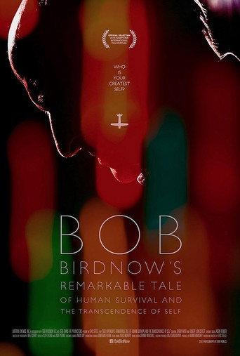 Bob Birdnow's Remarkable Tale of Human Survival and the Transcendence of Self (2013) poster