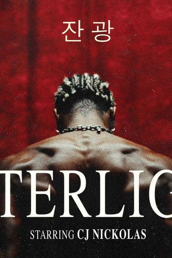 Afterlight (2025) poster