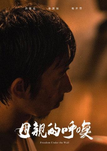 Freedom Under the Wall (2019) poster