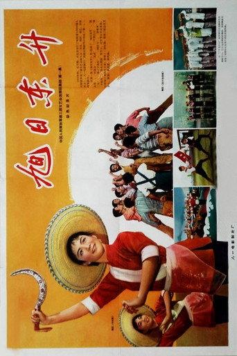 旭日东升 (1964) poster