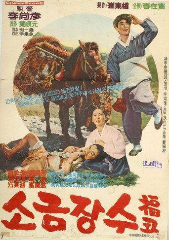 A Salt Peddler (1966) poster