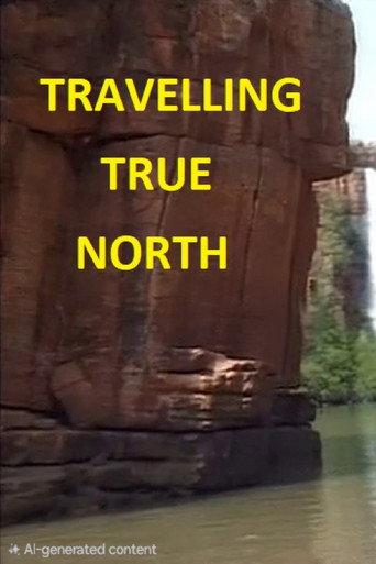 Travelling True North (1985) poster