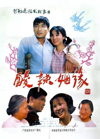 酸辣姻缘 (1985) poster
