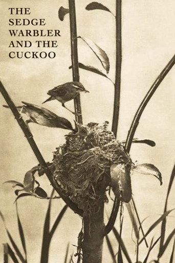 The Sedge Warbler and the Cuckoo (1911) poster