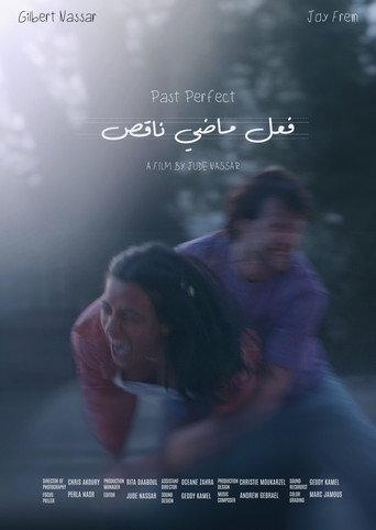 Past Perfect (2024) poster