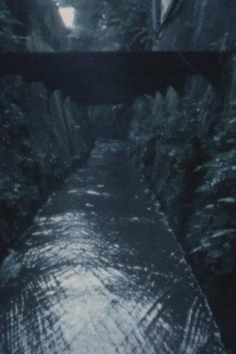 June Woods • July Swamp (1981) poster