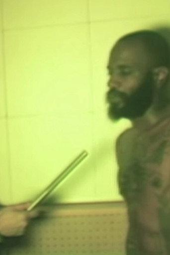 Death Grips Interview 2016 (2016) poster