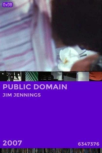 Public Domain (2007) poster