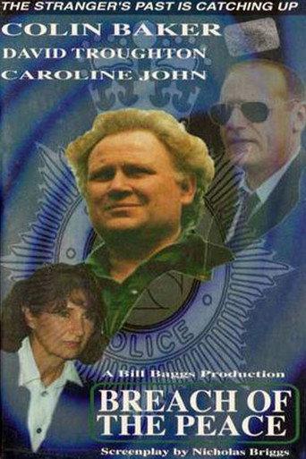 The Stranger: Breach of the Peace (1994) poster