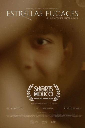 Shooting Stars (They Flew in the Firmament, Love) (2026) poster