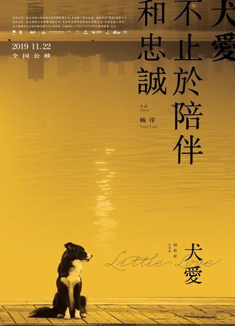 Little Love (2019) poster