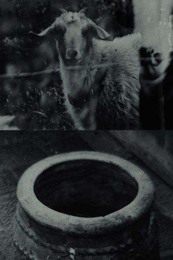 Though The Flock Shall Be Cut Off From The Fold (2026) poster