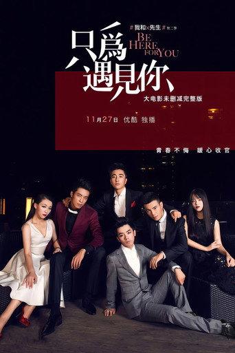 我和X先生：只为遇见你 (2015) poster