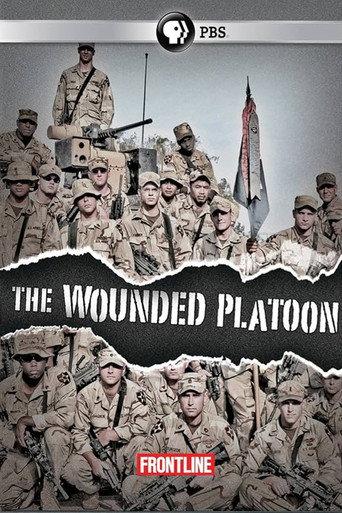 The Wounded Platoon (2011) poster