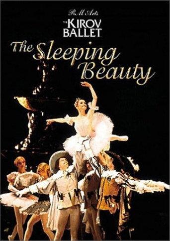 The Sleeping Beauty (1989) poster