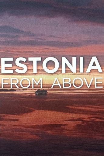 Estonia from above (2023) poster