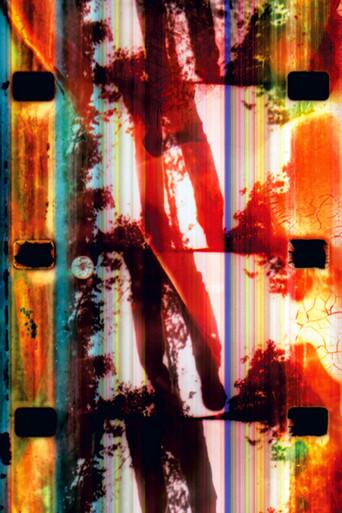 Nirvana Alchemy Film (2007) poster