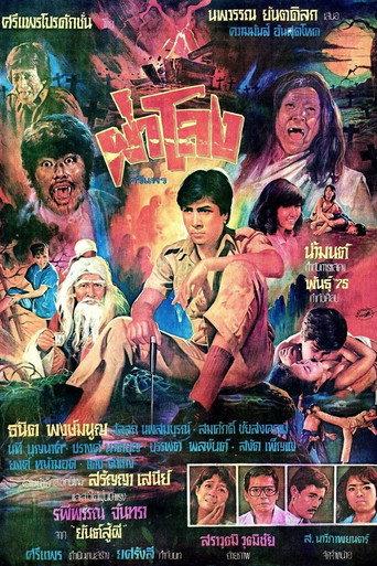 Dissecting the Coffin (1984) poster