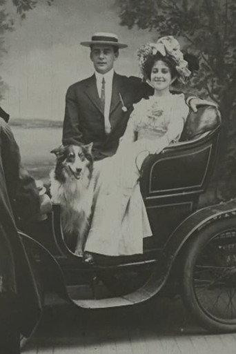 A Tin-Type Romance (1910) poster